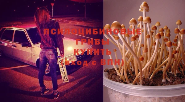 COCAINE Богородск