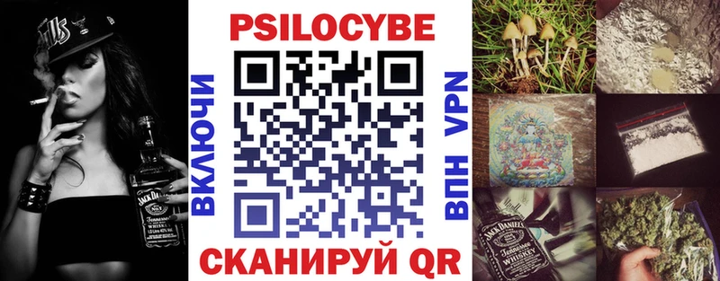 Псилоцибиновые грибы Psilocybe Казань