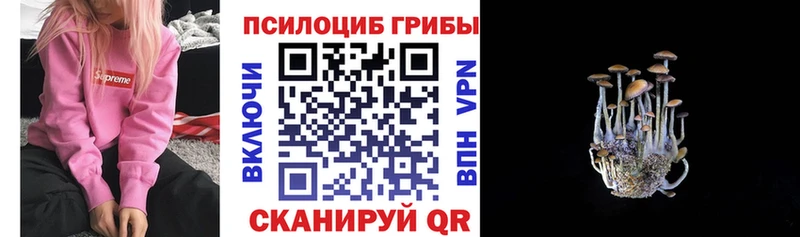 Галлюциногенные грибы Magic Shrooms Казань