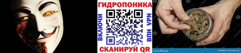 Каннабис Amnesia  как найти   Казань 